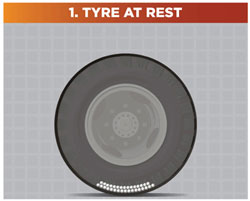 How Dynabeads Work 1