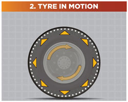 How Dynabeads Work 1